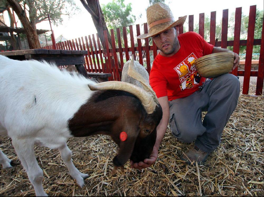 Eilot Kibbutz Country Lodging Ейлат Екстериор снимка